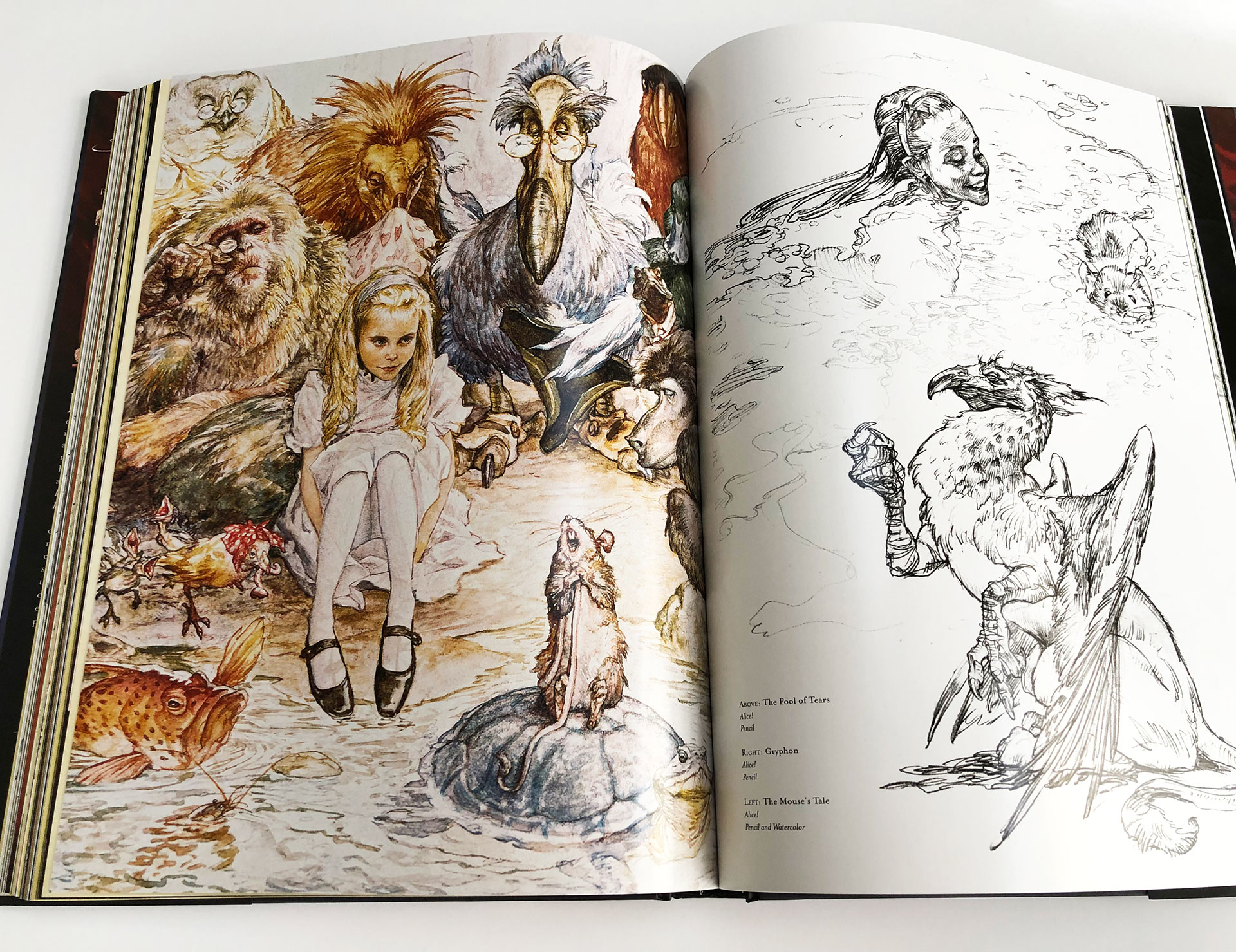 Shadowline - The Art of Iain McCaig (revised and expanded) Review