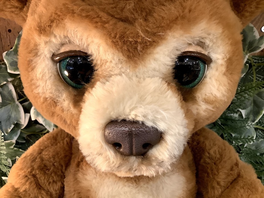 ファーリアル 遊ぶのだいすき♪ こぐまのカビーを買取入荷致しました