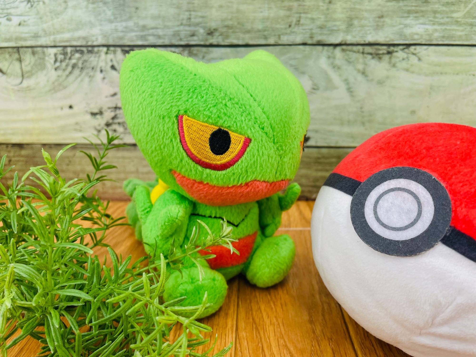 ポケドール】ジュカインのぬいぐるみが入荷しました！｜2022年11月24日