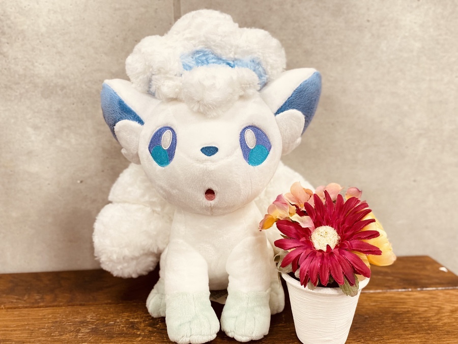 ポケモンセンターオリジナル アローラロコン ふわふわぬいぐるみが買取