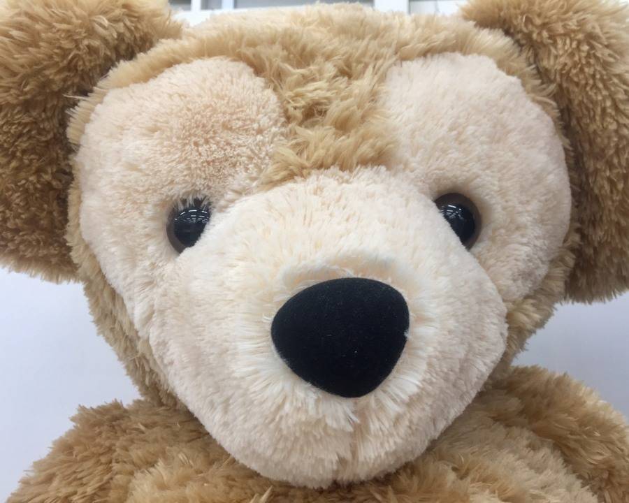 超激レア】ダッフィー 旧Lサイズ 2026年最新】旧lサイズ ダッフィーの