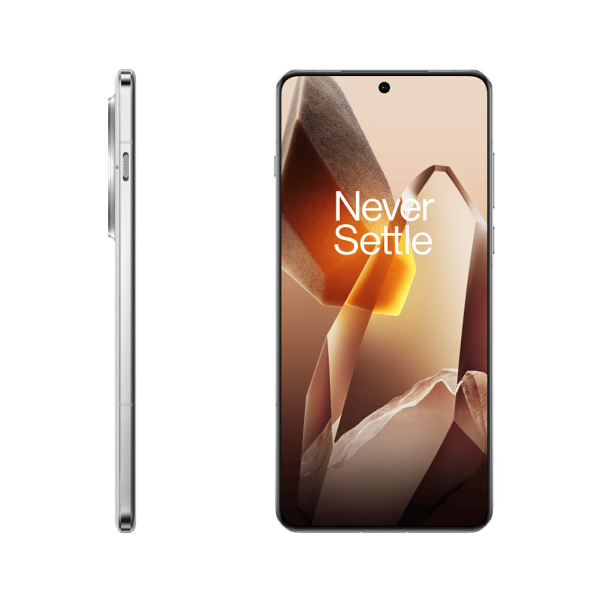 OnePlus 13 (12GB RAM + 256GB Memory) - Arctic Dawn