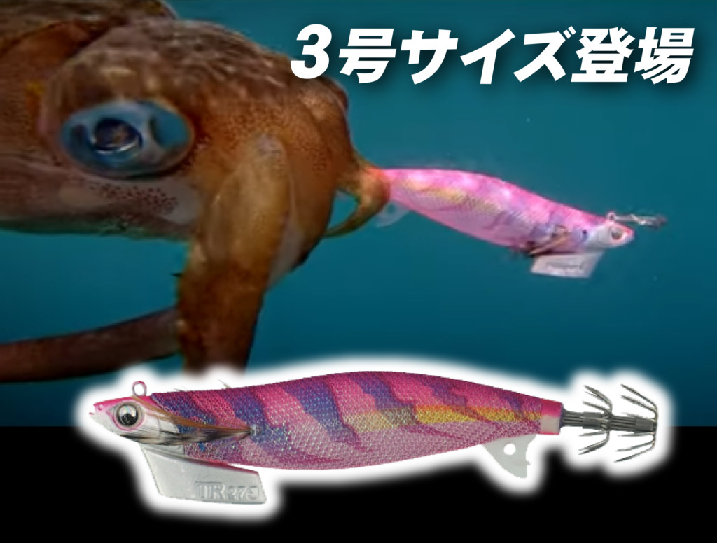 秋のティップランエギングに最適!!】安定姿勢でアオリイカにハイ