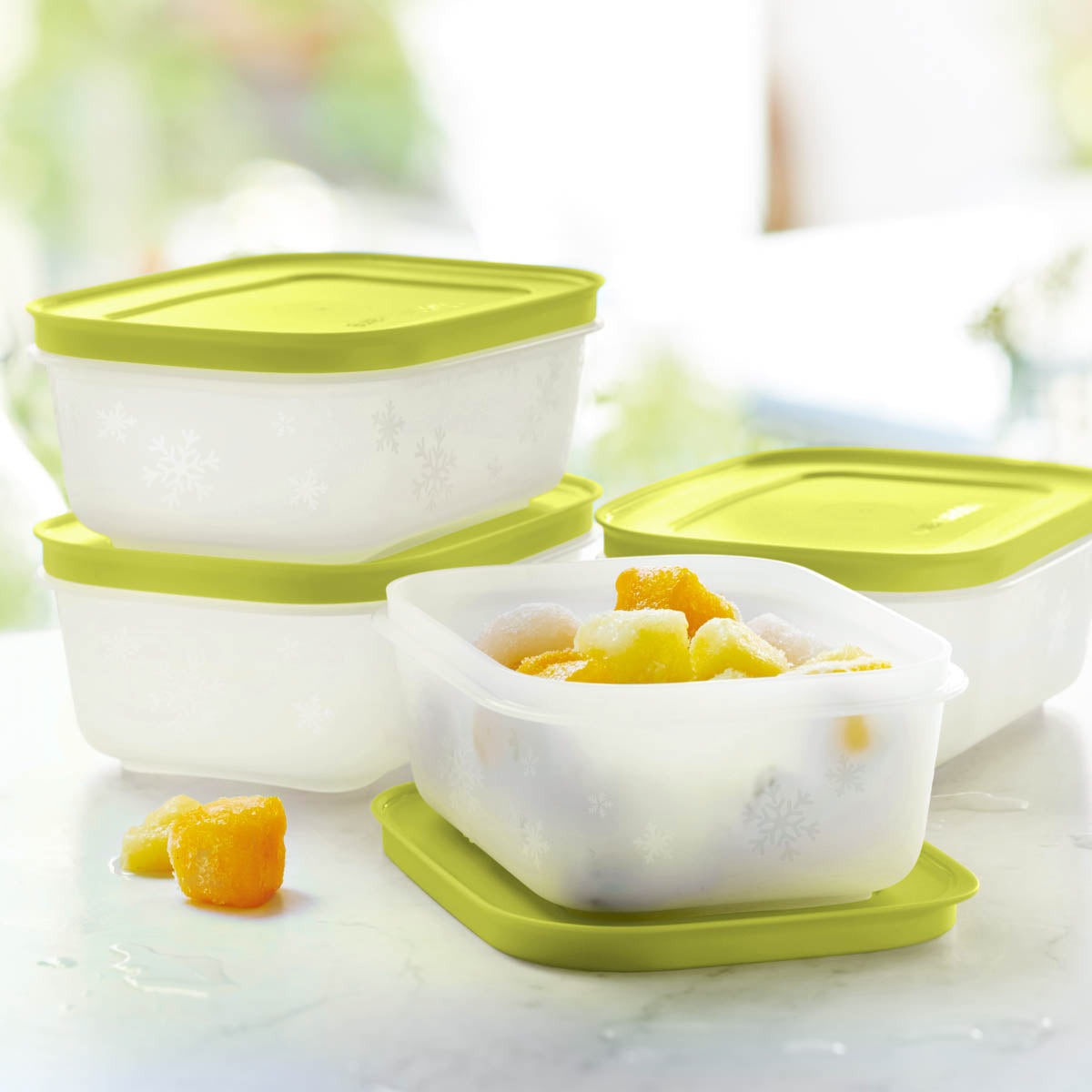 Tupperware® Freezer Mates® PLUS Small Shallow | 4-Piece Container