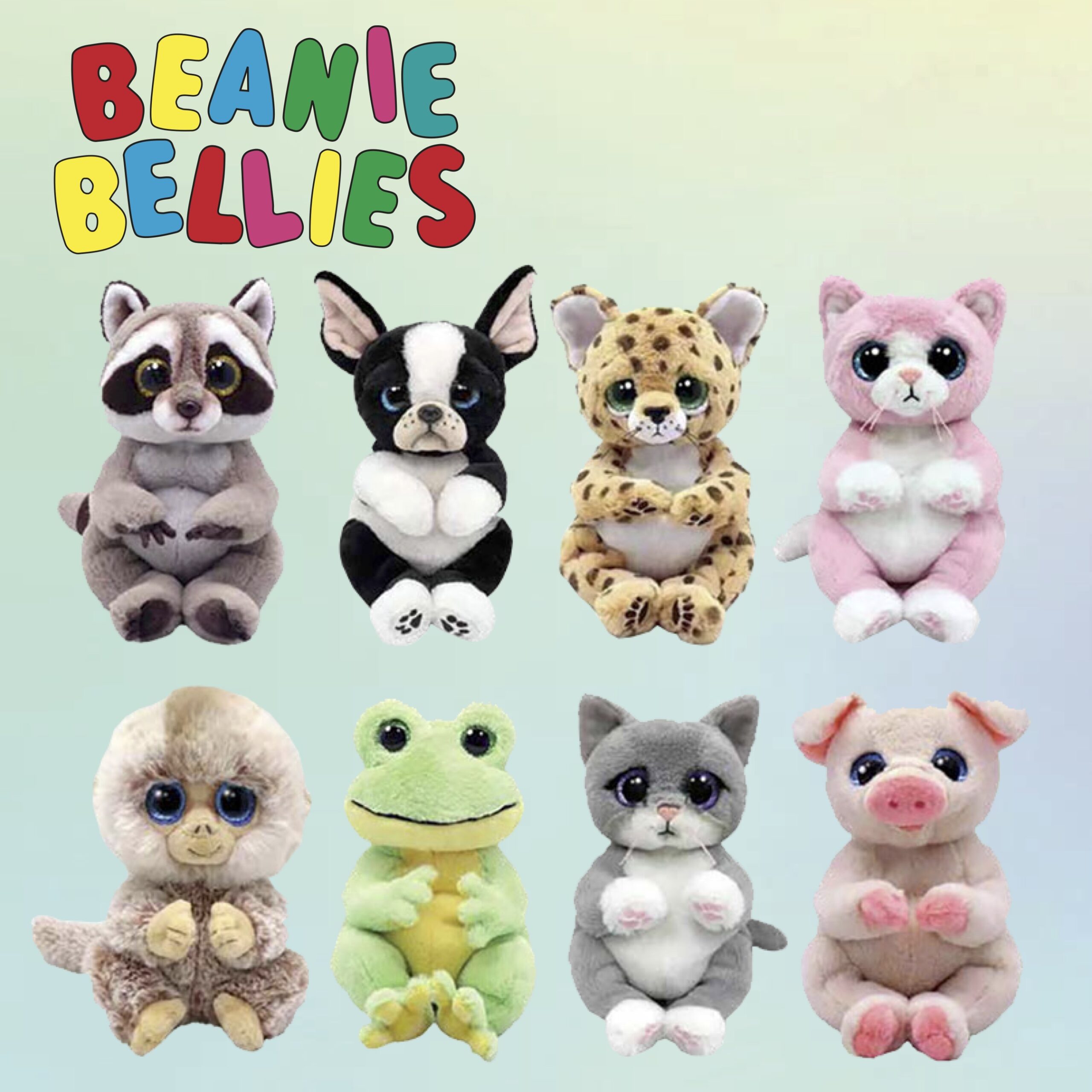 製品情報 | Ty Japan