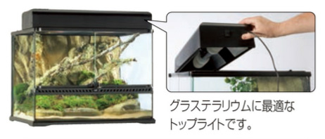 GEX コンパクトトップ 45 2灯式 [爬虫類・両生類] | 通販