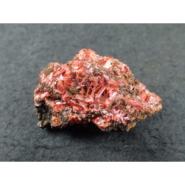 最高品質紅鉛鉱（(Crocoite)クロコアイト、PbCrO₄)) Adelaide Mine