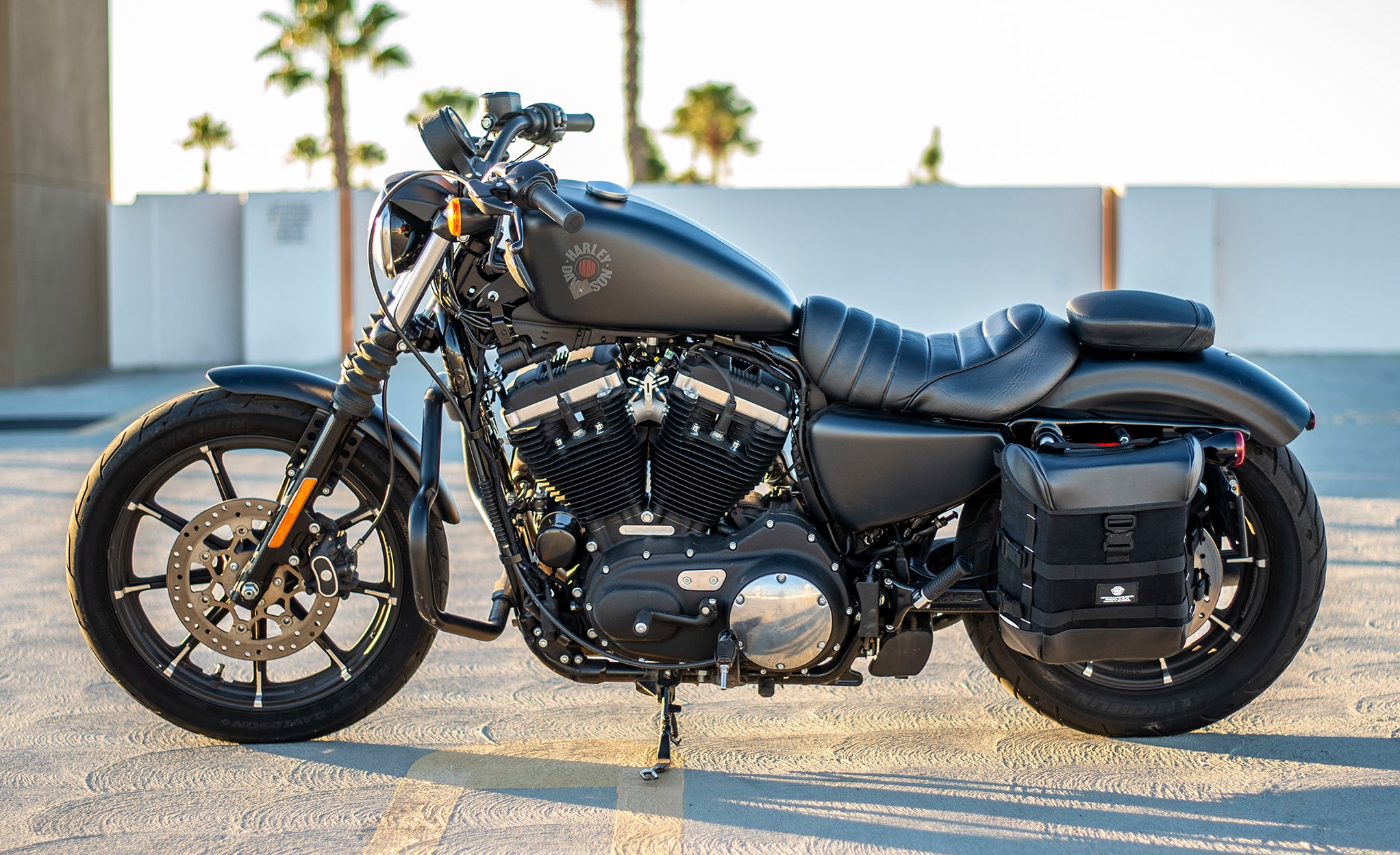 Viking 15L Incognito Detachable Medium Harley Sportster 883 Iron