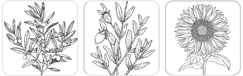 RENOVO Scalp Nourishment（レノーボ スキャルプナリッシュメント