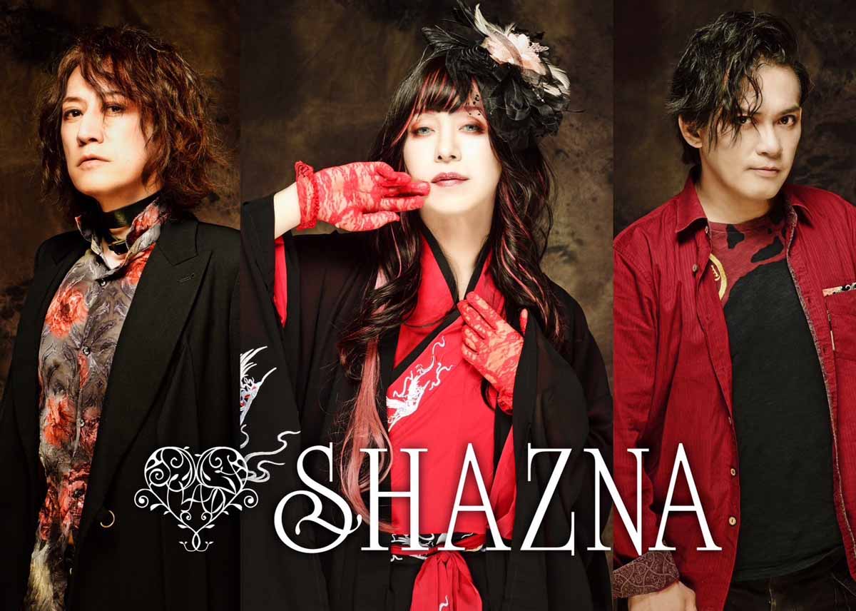 ミュージック SHAZNA LAST LIVE DVD ミュージック SHAZNA LAST LIVE