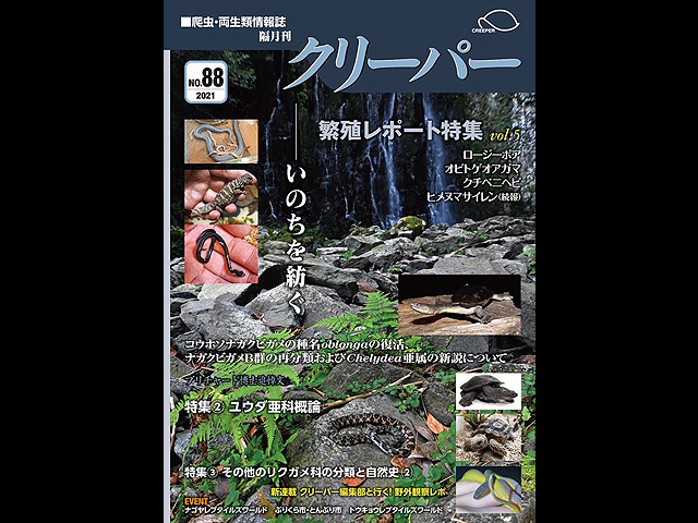 CREEPER（クリーパー） NO.88