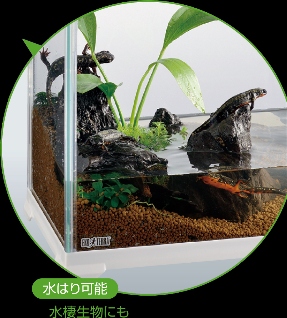 レプテリアホワイト300High エキゾテラ GEX テラリウム水槽 販売 通販
