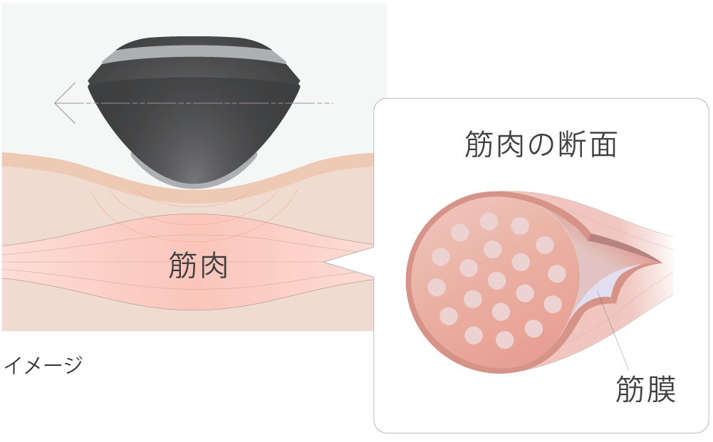 キャビスパ_シリーズから探す | YA-MAN TOKYO JAPAN | ヤーマン株式会社