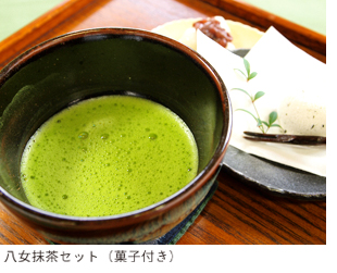 星授 八女抹茶 星野製茶 抹茶 薄茶 濃茶 seijyu｜八女茶・深蒸し茶