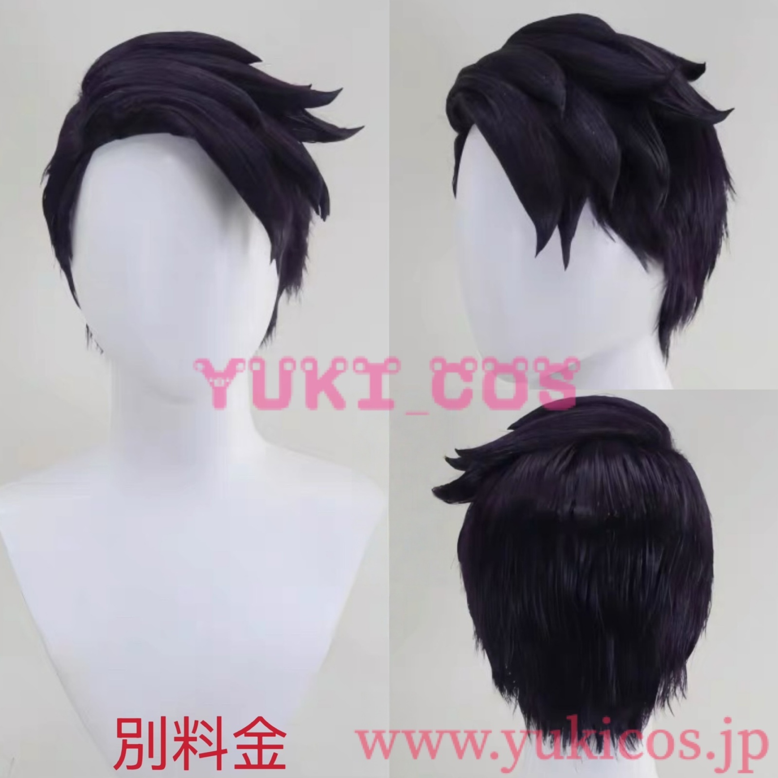 ポケットモンスター Pokémon LEGENDS Z-A ポケモンレジェンズゼット