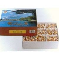 せんねん灸オフ 伊吹（レギュラー） 2000点入 | 全医療器