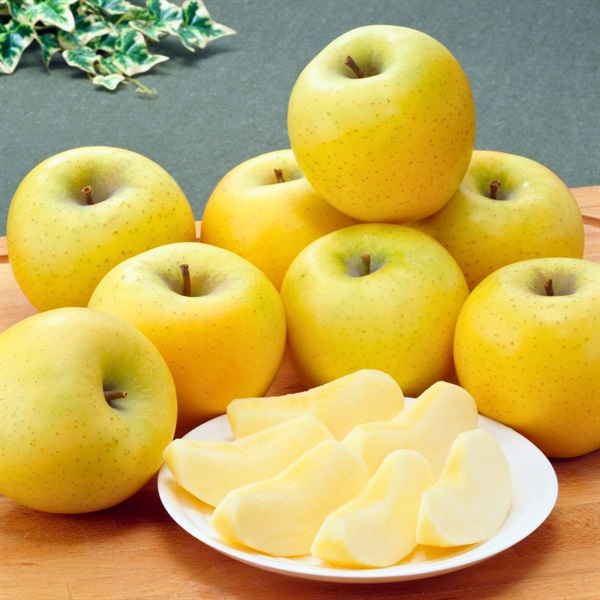 シナノゴールド 2月下旬発送開始 | 全農食品オンラインショップ