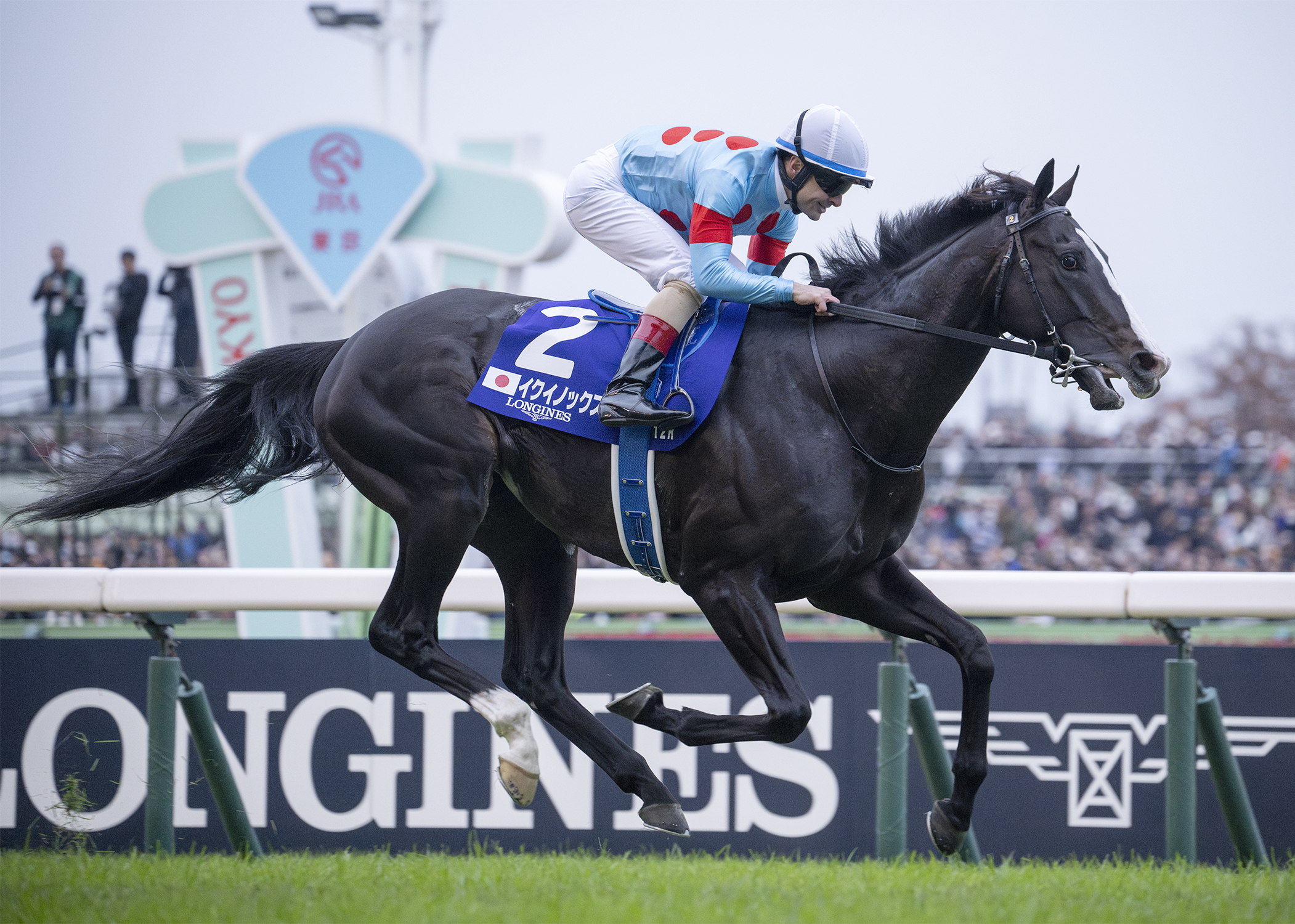 イクイノックス 第43回ジャパンカップ(GⅠ)優勝！