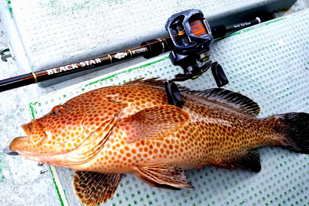 BALCK STAR HARD - XESTAゼスタ公式ウェブサイト