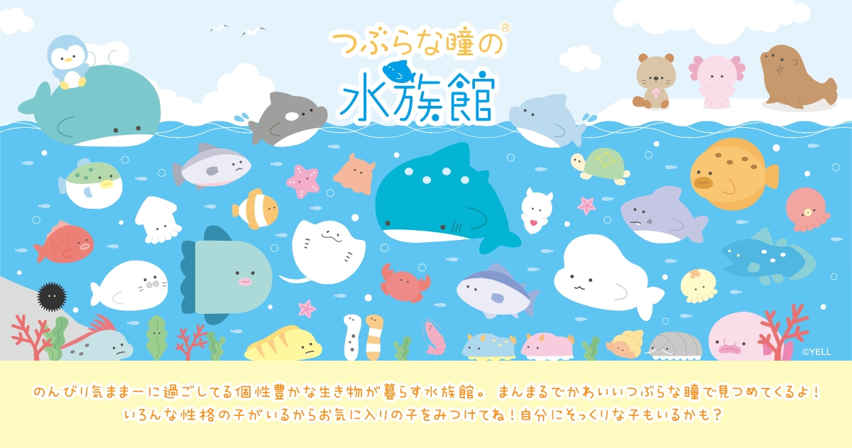 つぶらな瞳の水族館 | Yell World｜エールワールド