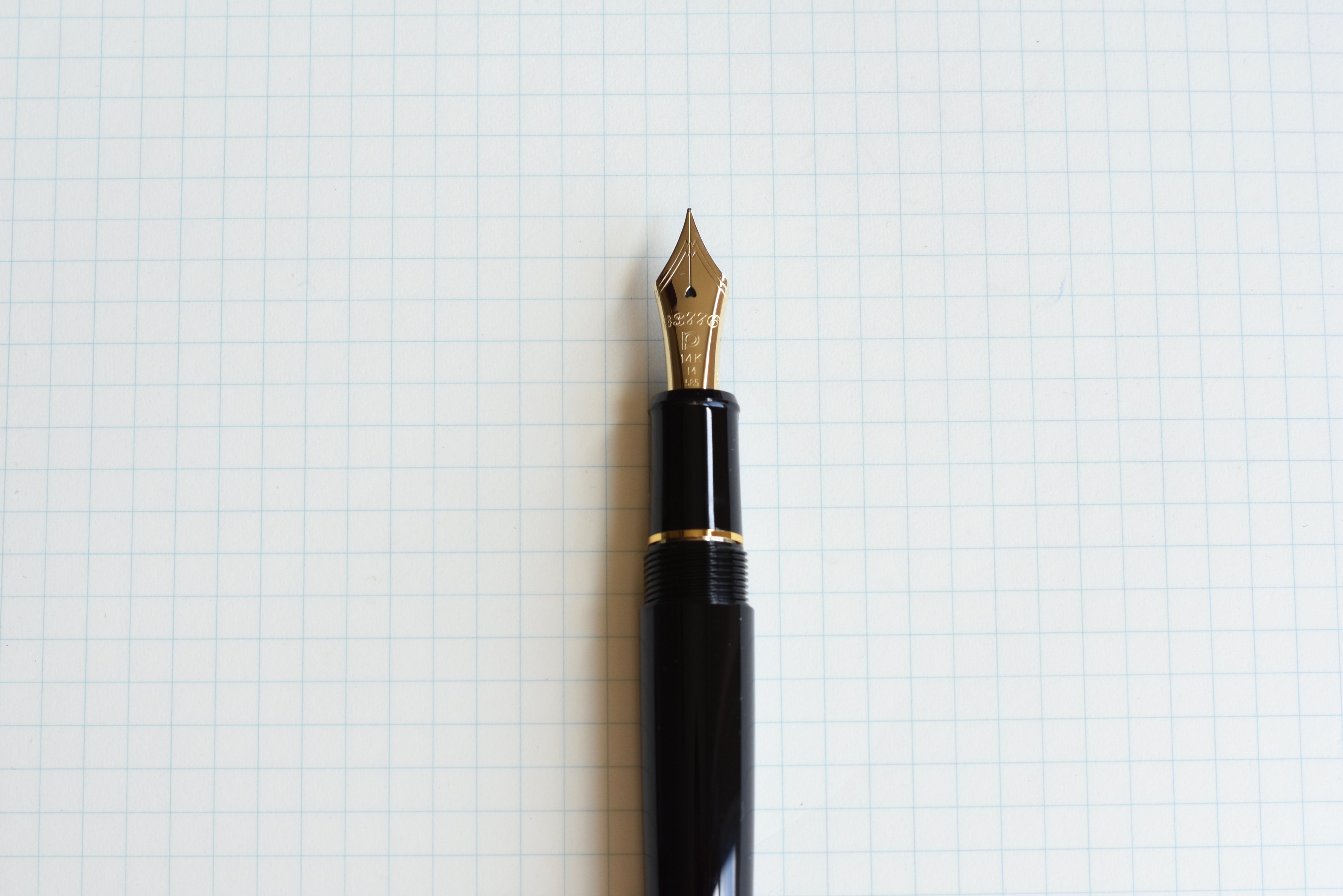 Platinum Century 3776 - Black - Gold Trim – Yoseka Stationery