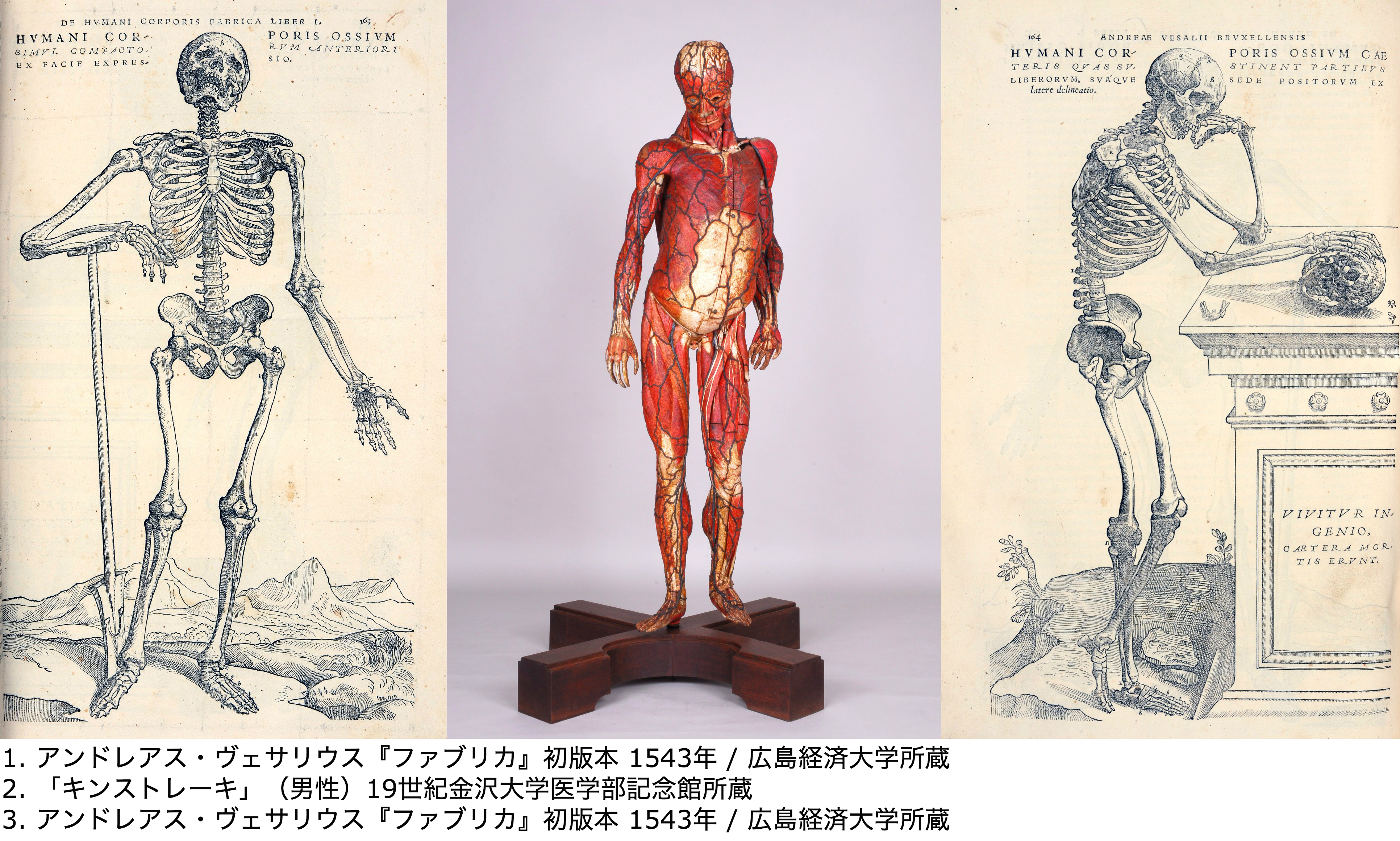 貴重】ダヴィンチをはじめ人体の謎に挑んできた歴史がわかる特別展