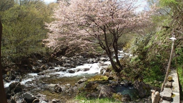 つげ義春作・二岐渓谷｜二岐温泉 湯小屋旅館へようこそ｜湯小屋旅館