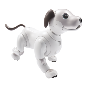 aiboをお迎えするには？実際はいくら必要？【購入方法と費用について