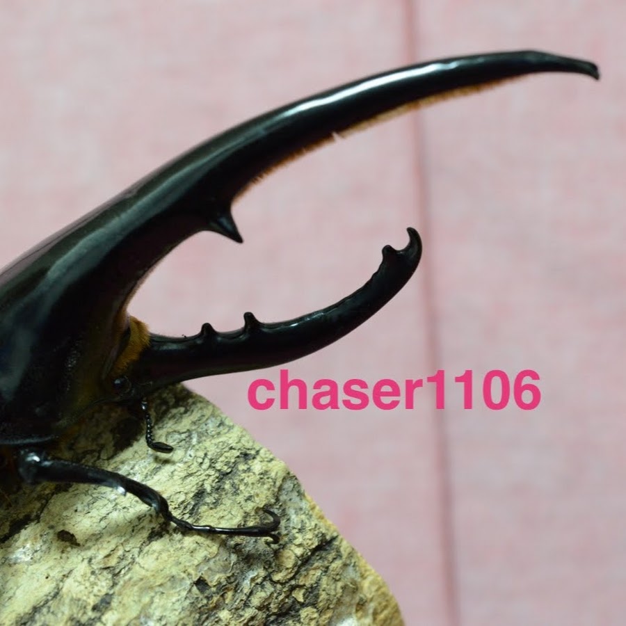 アートオブヘラクレスmovie - YouTube