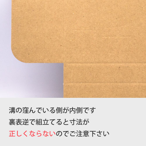 ZAP タトウ式(ヤッコ型)メール便ケース ネコポスB5 【厚み24mm】277