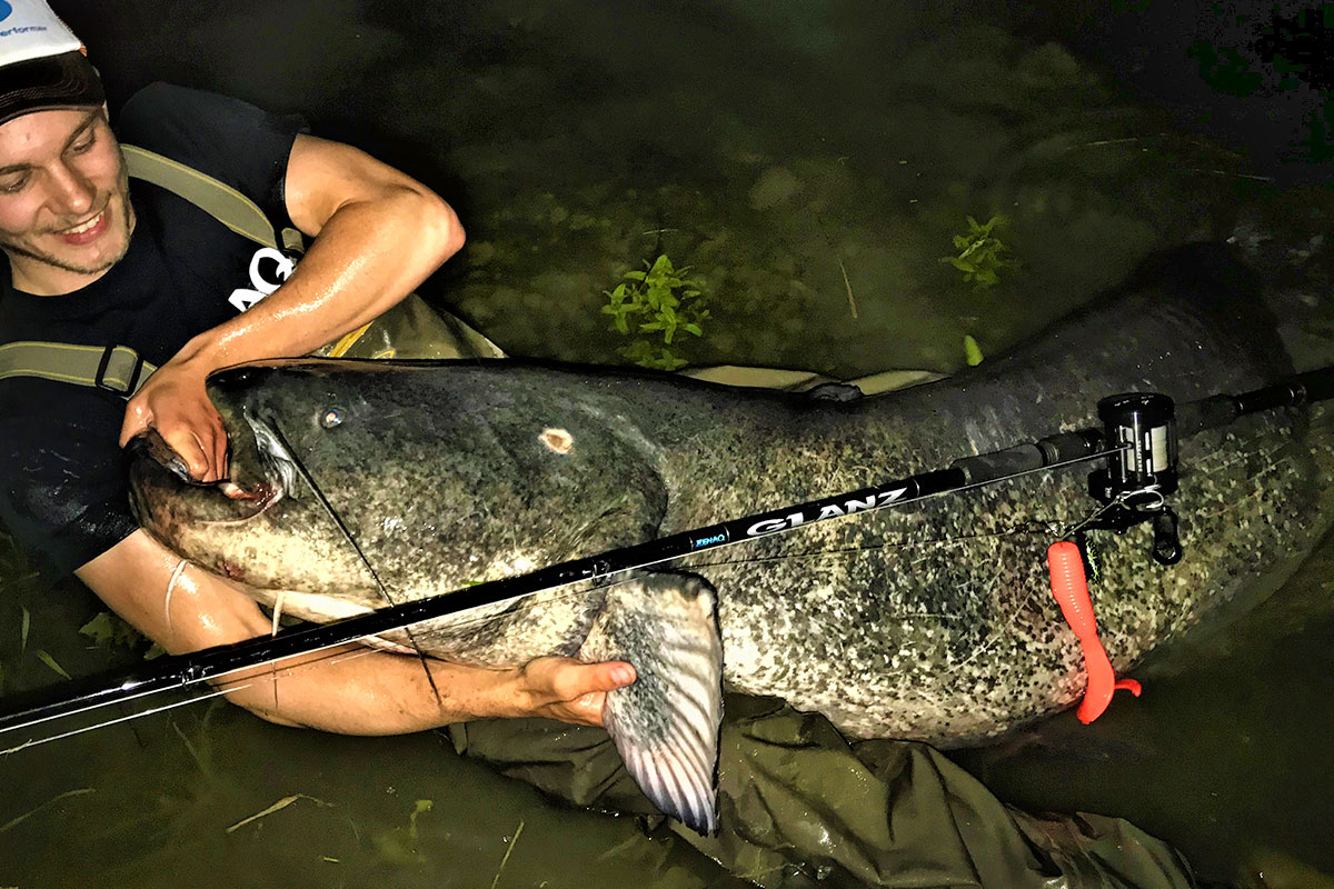 ゼナック GLANZ 80-25x ゼナック グランツ80-25X ZENAQ GLANZ 【公式通販】