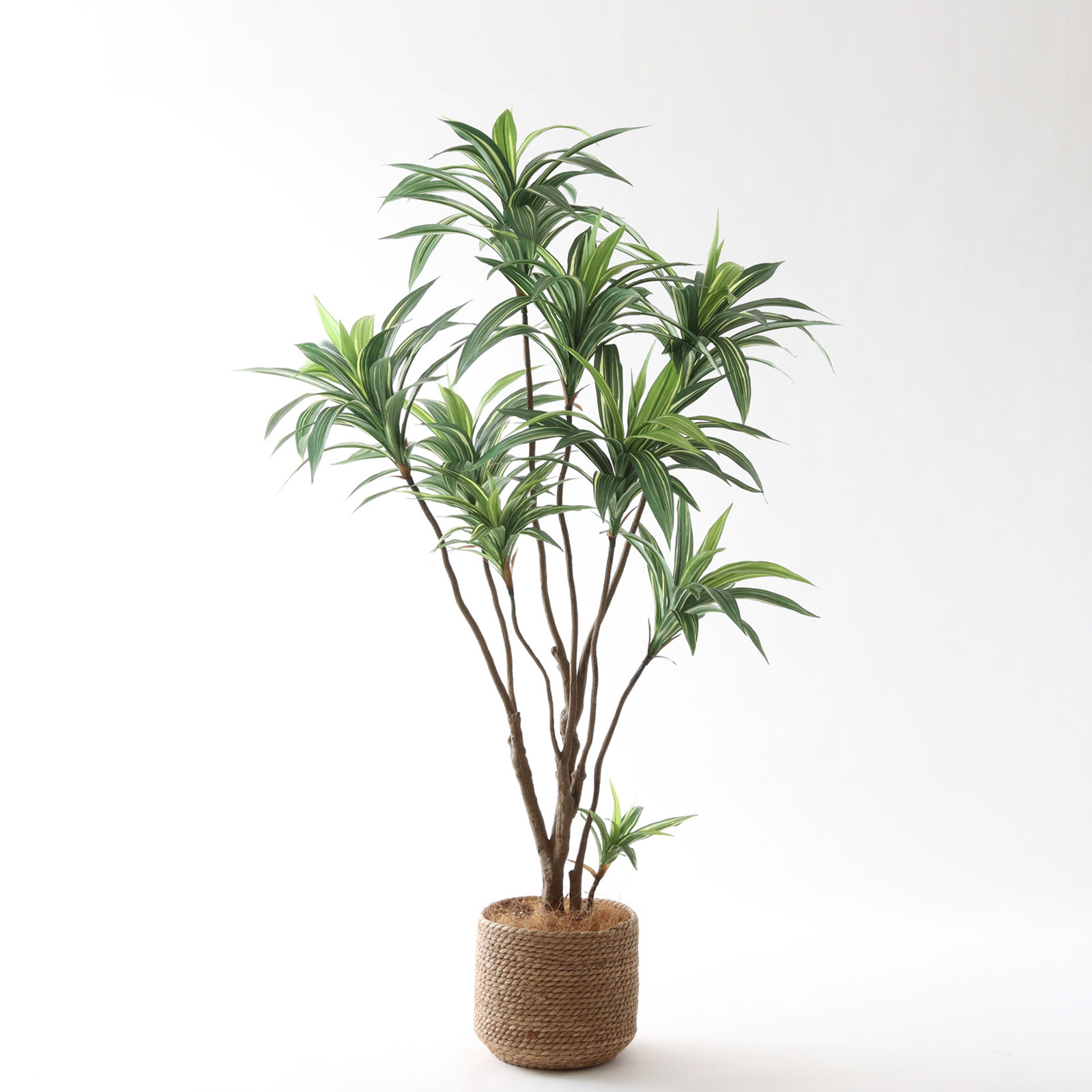 高さ120-150cm | プレミアム光触媒フェイクグリーン 造花ドットコム