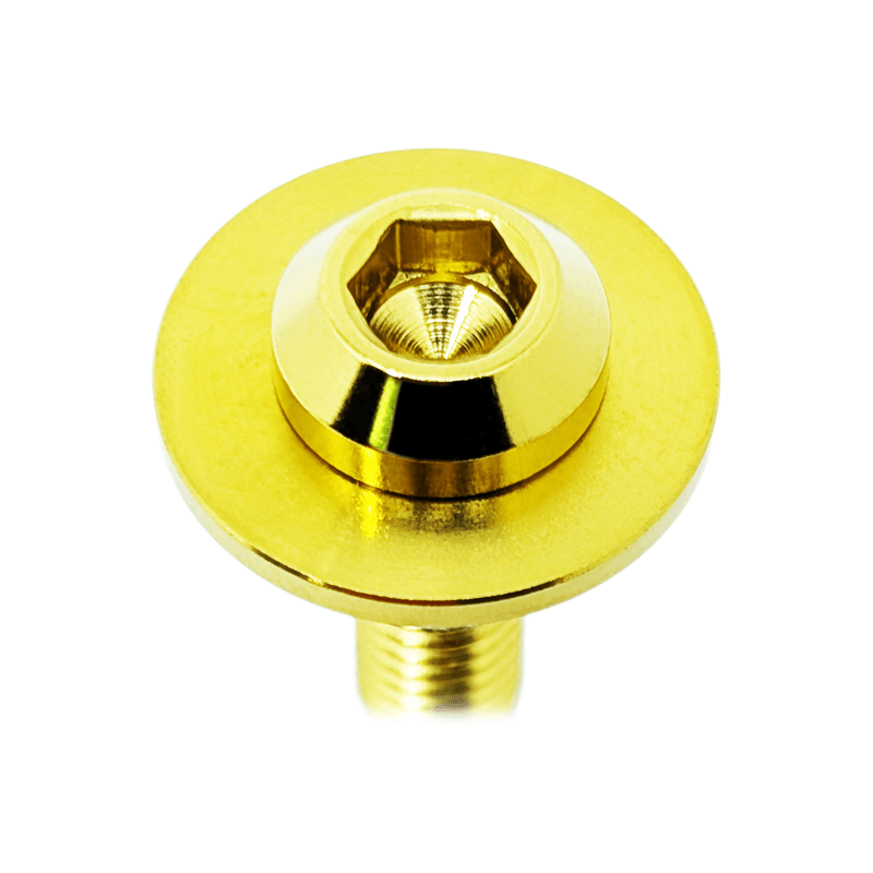 ZSPEC Fastener Kit, Door Jams Area for Nissan 300zx Z31, Titanium