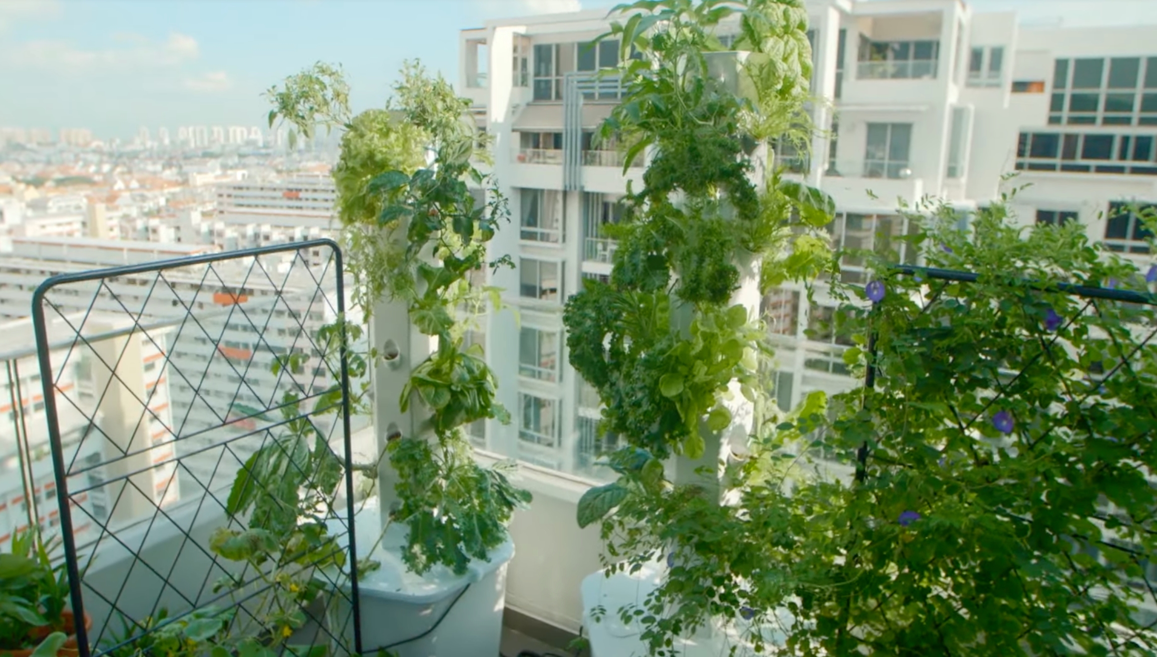 噴霧式縦型水耕栽培システム「エアロスプリング」Aerospring