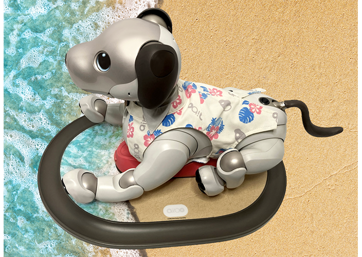 関連グッズ | aibo