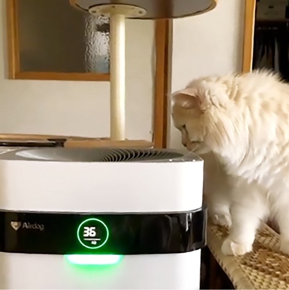 公式】気になる飼い主さま | Airdog X5D | 世界最強レベル高性能空気清浄機