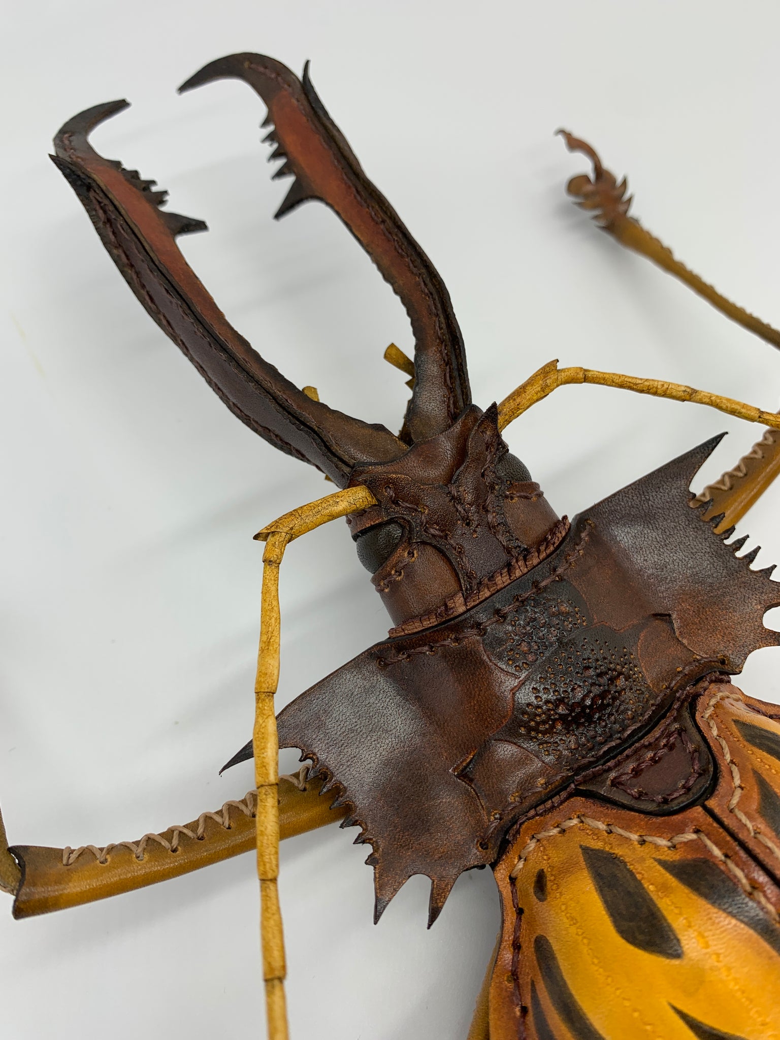 オオキバウスバカミキリの網切り鋏ケース – あまのじゃくとへそまがり