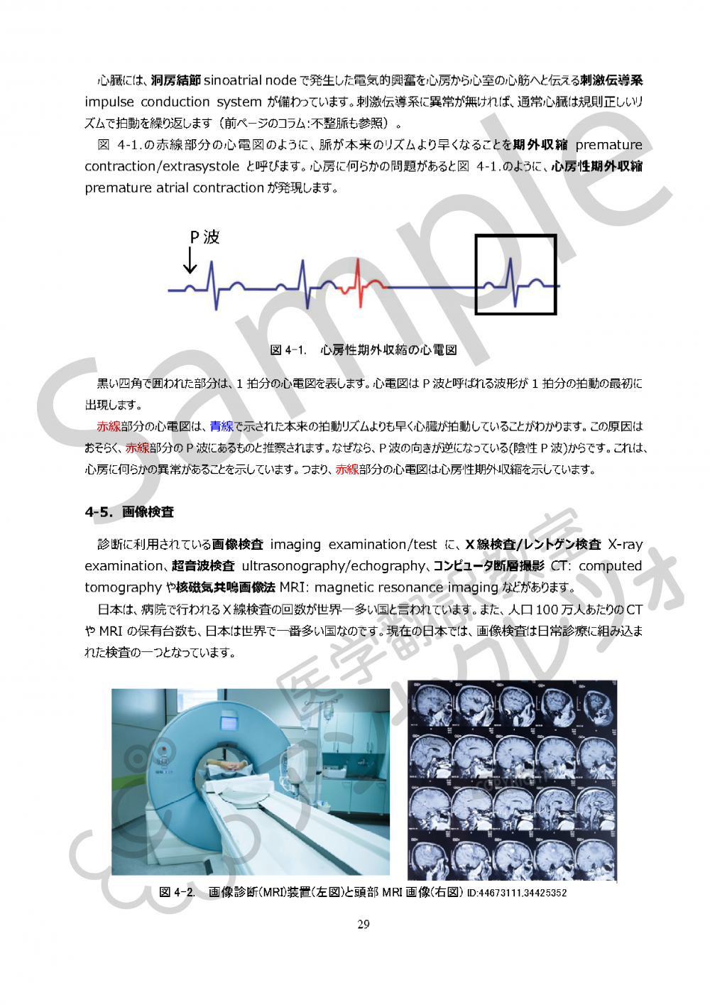 メディカル翻訳初級 通信コース – 医学翻訳教室アンセクレツォ