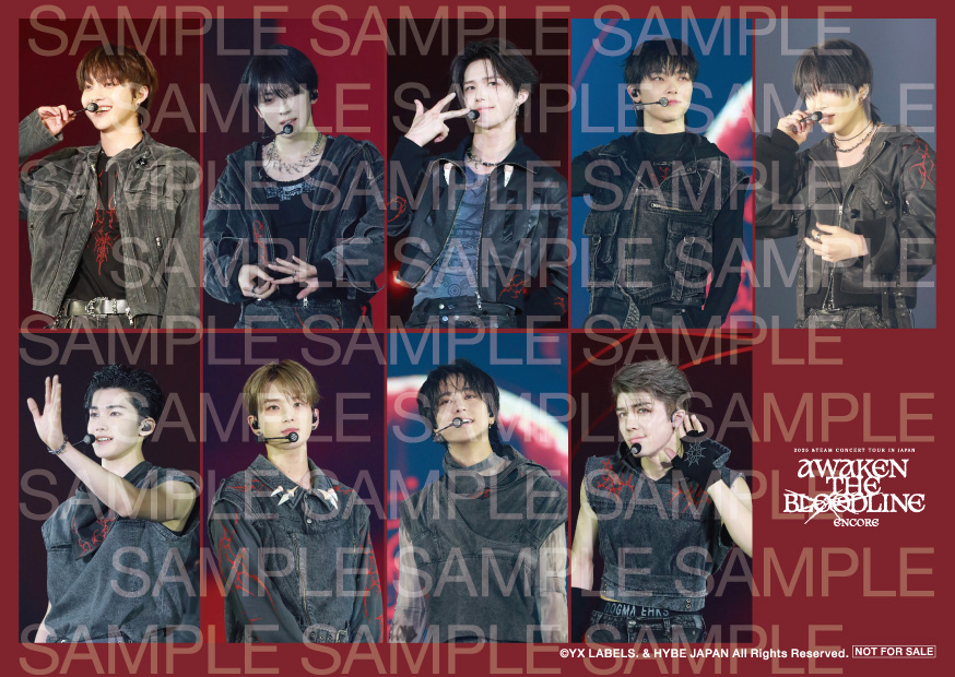 ライブビューイング公式サイト「2025 &TEAM CONCERT TOUR 'AWAKEN THE