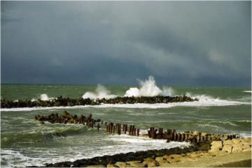 新潟安吾めぐり | 坂口安吾デジタルミュージアム