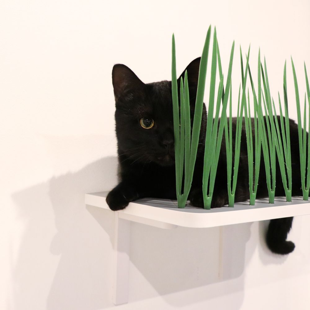 キャットステップ／キャットウォーク | 日本製猫用品、グッズの専門