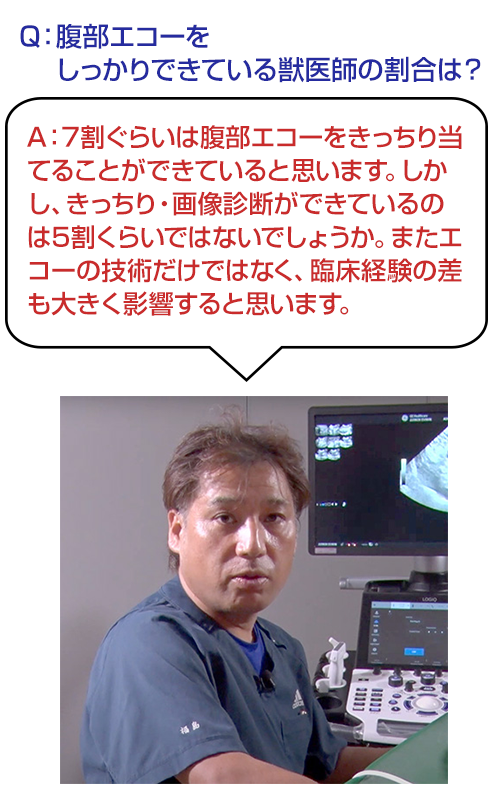 腹部エコー完全習得ガイド～Basic Learning～ | 株式会社 医療情報研究所