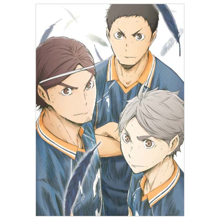 ハイキュー!! 烏野高校 VS 白鳥沢学園高校／DVD／Vol.3（初回生産限定