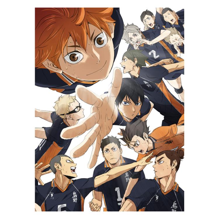 劇場版ハイキュー!! ゴミ捨て場の決戦／DVD【豪華版】（送料無料