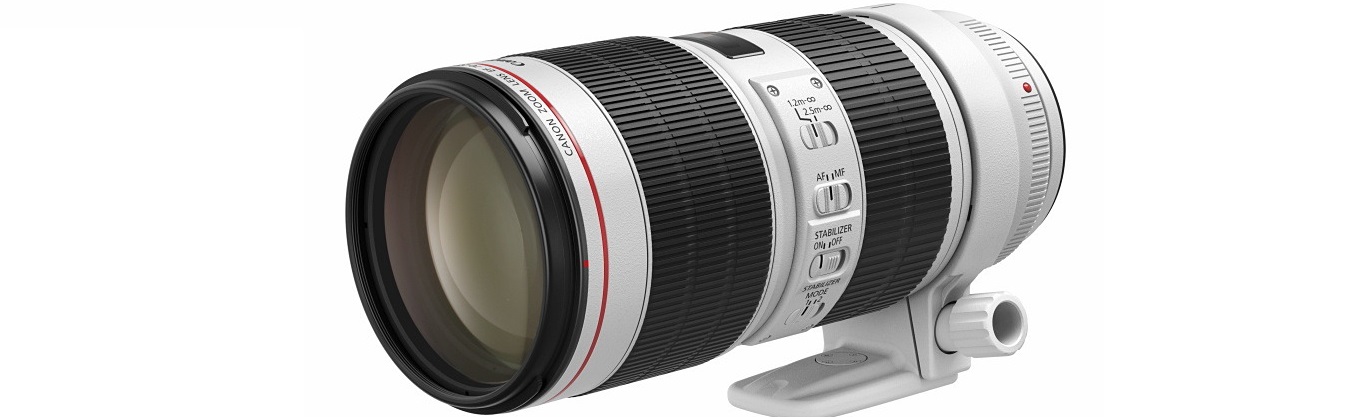 キヤノンEF70-200mm F2.8L IS III USMは全域で高水準なシャープネス