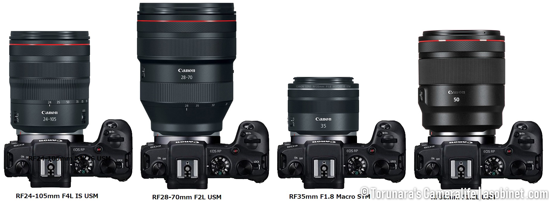 超軽量フルサイズミラーレス EOS RPに最適な交換レンズを考える - とるなら
