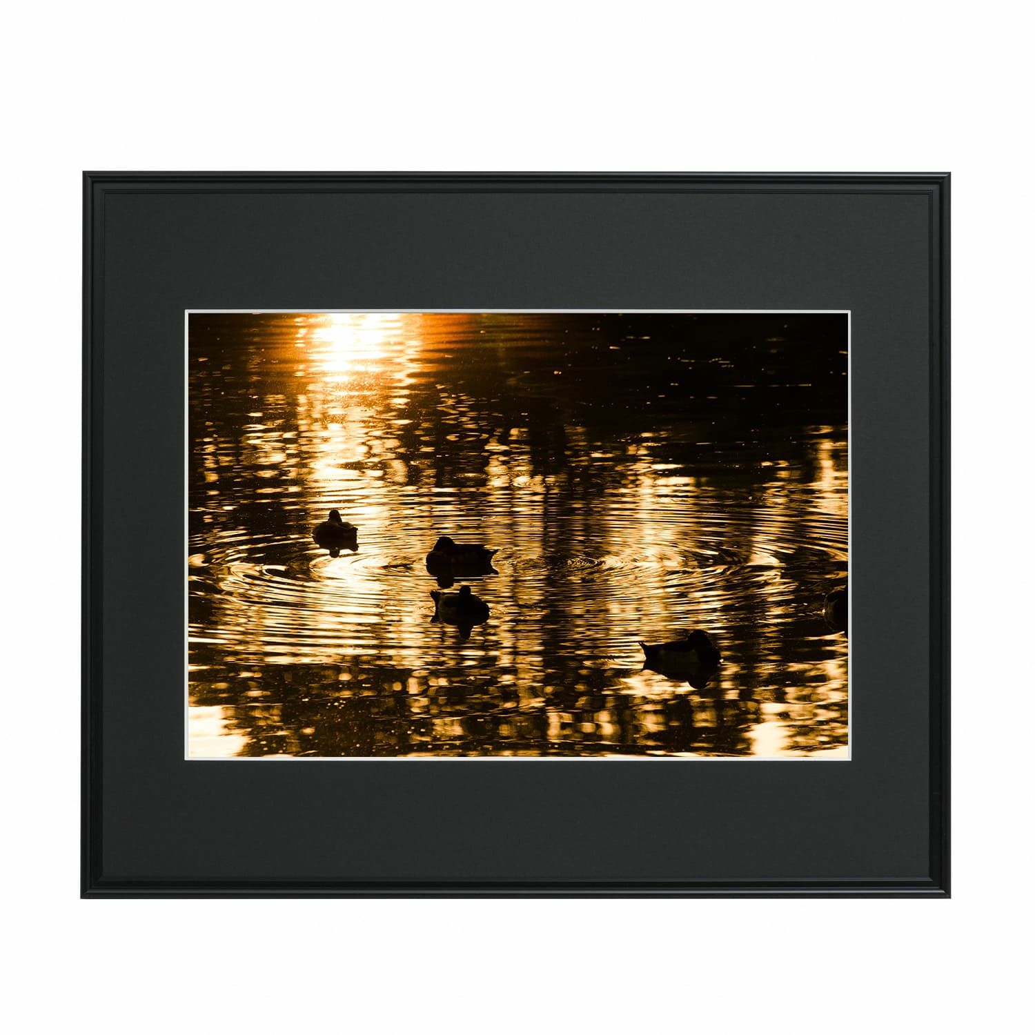 000000002427-01-l.jpg?t=