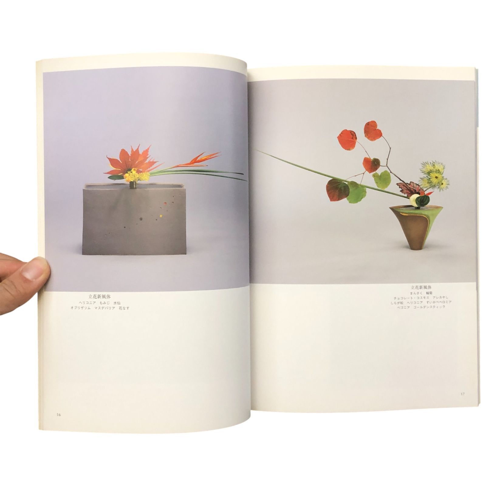 いけばな 花の伝統と文化 希少品 古書 いけばな 花の伝統と文化 希少品