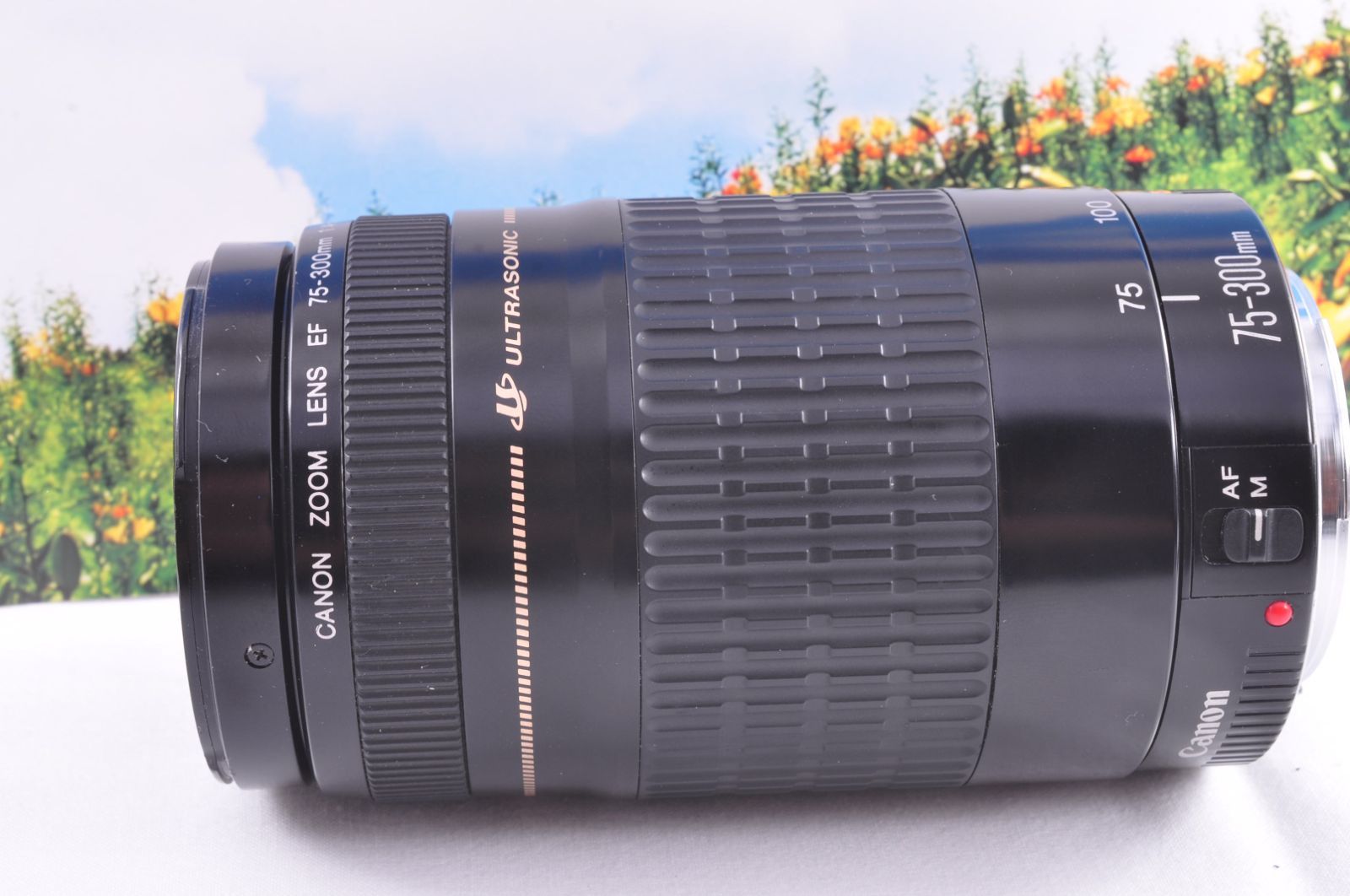 キヤノン EF 75-300mm USM 軽量望遠ズームレンズ 運動会 旅行 ポート