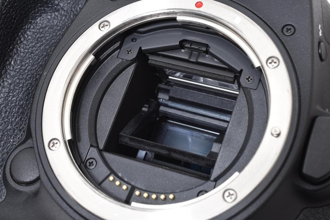 Canon EOS 7D Mark II 標準&望遠 ダブルズームキット - メルカリ